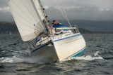 pippin lrw11 9752